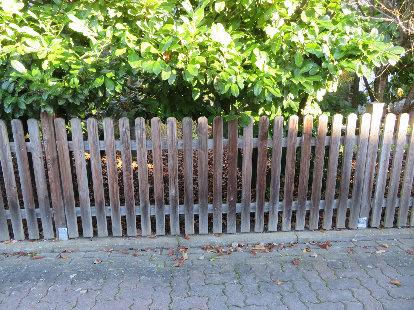 Clean wooden picket fence in a garden setting